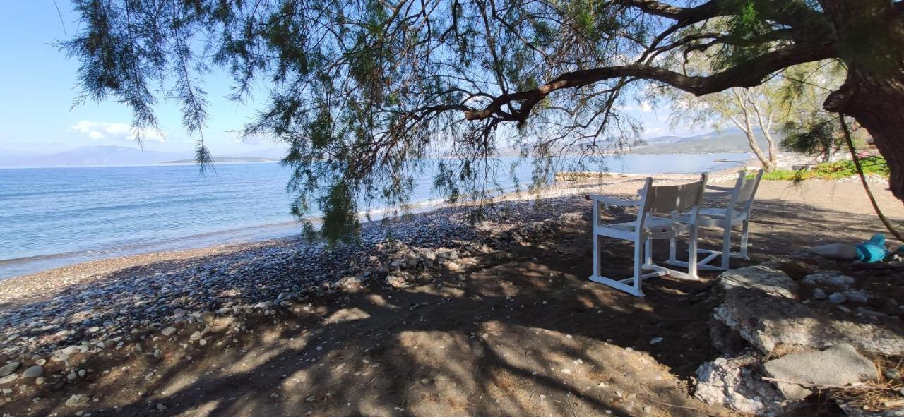Vikos Beach Apartments Paralia Irion Екстериор снимка