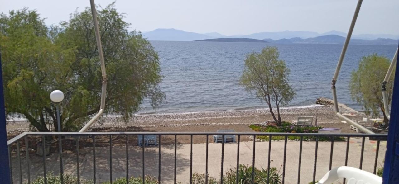 Vikos Beach Apartments Paralia Irion Екстериор снимка
