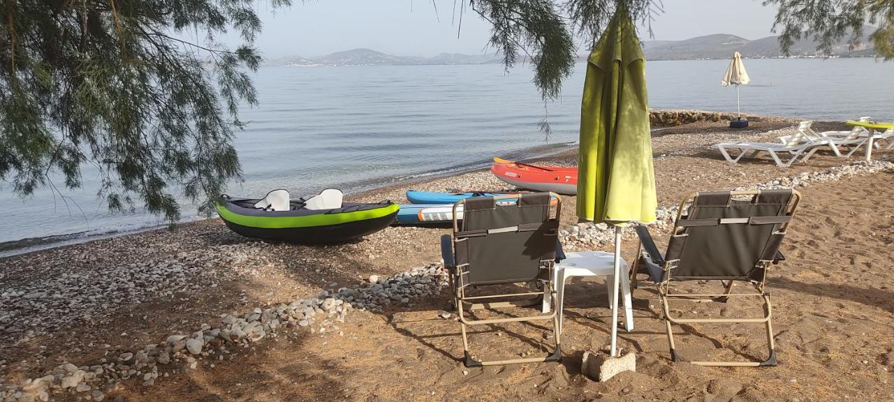 Vikos Beach Apartments Paralia Irion Екстериор снимка