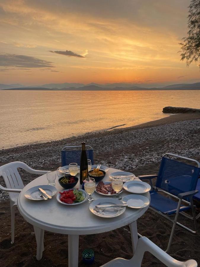 Vikos Beach Apartments Paralia Irion Екстериор снимка